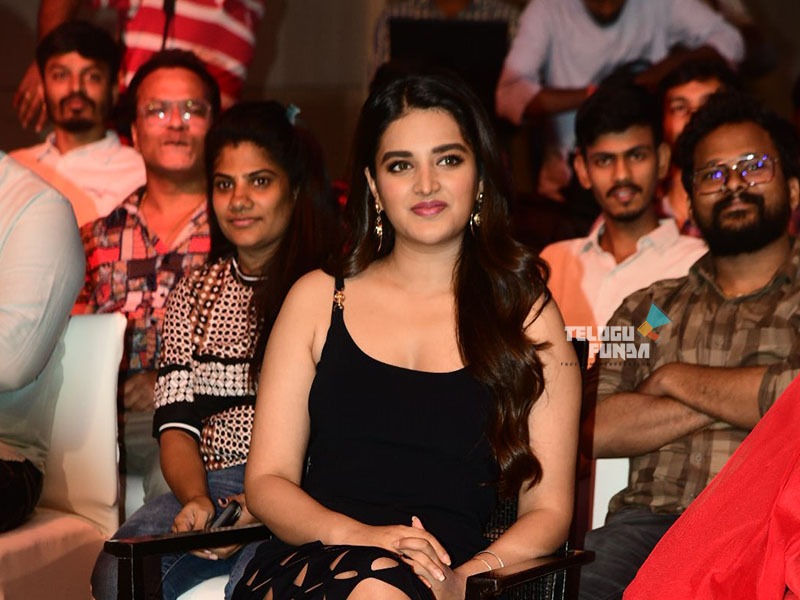 Nidhiagarwal-1